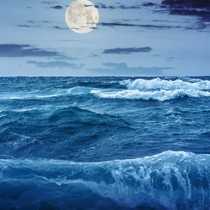 Meet your Posher, Genesis